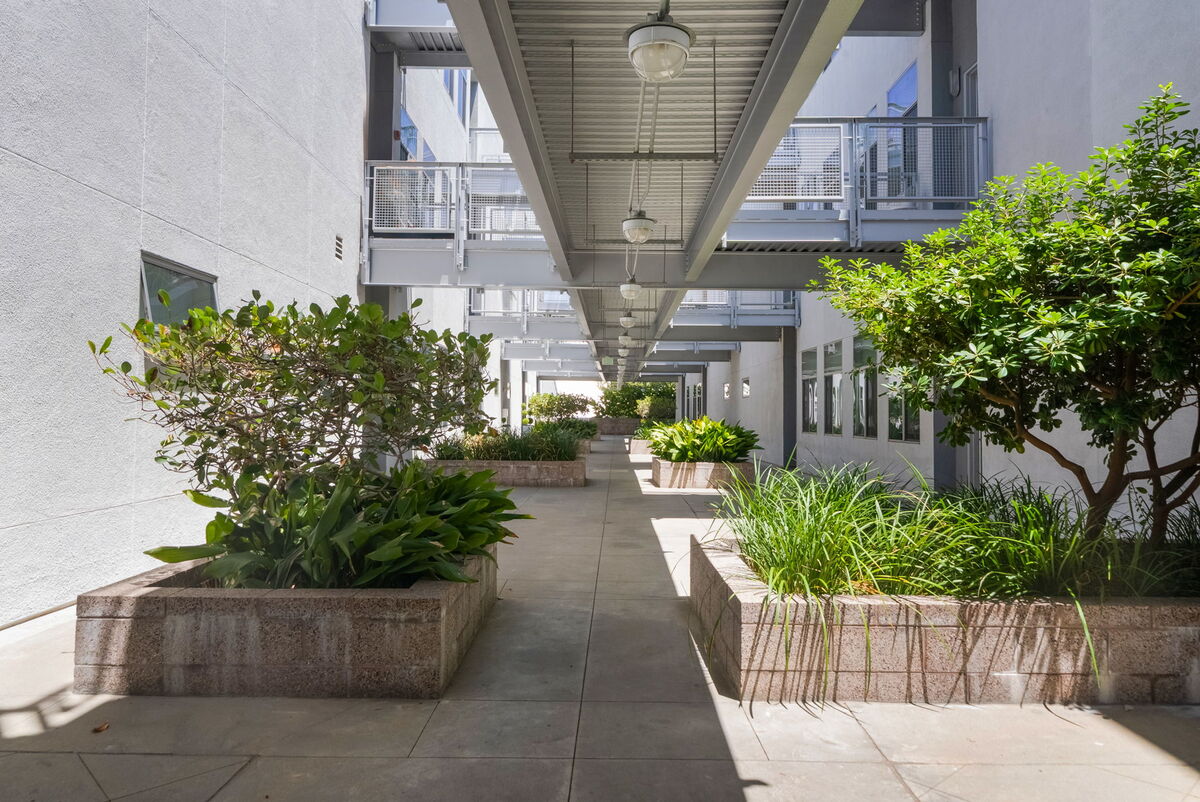 Landscaped courtyard walk